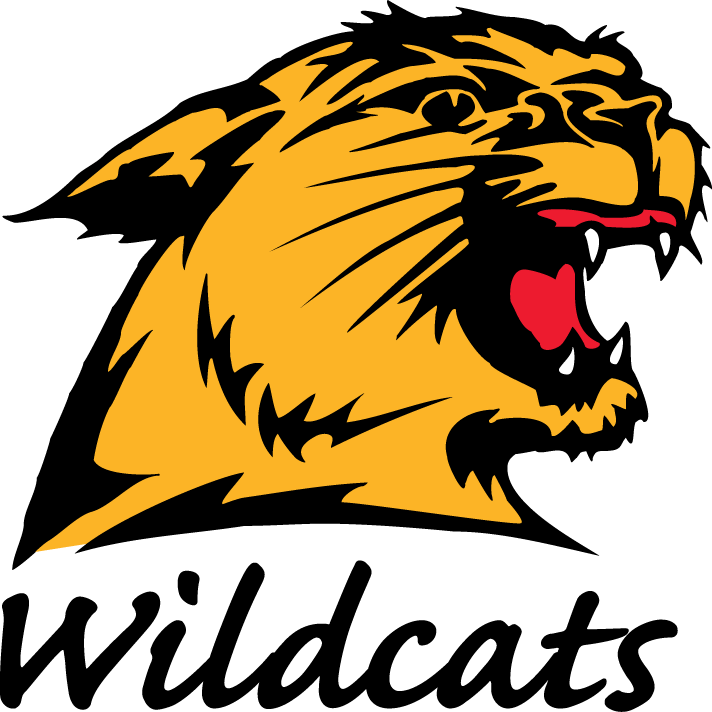 Northern Michigan Wildcats 1993-2015 Alternate Logo diy iron on heat transfer